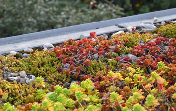 the cost of Leighswood green roof installation