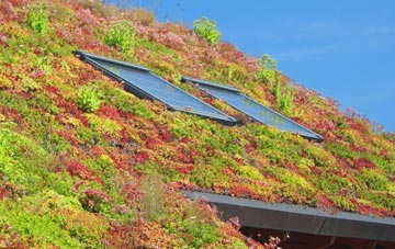 Leighswood living roof systems